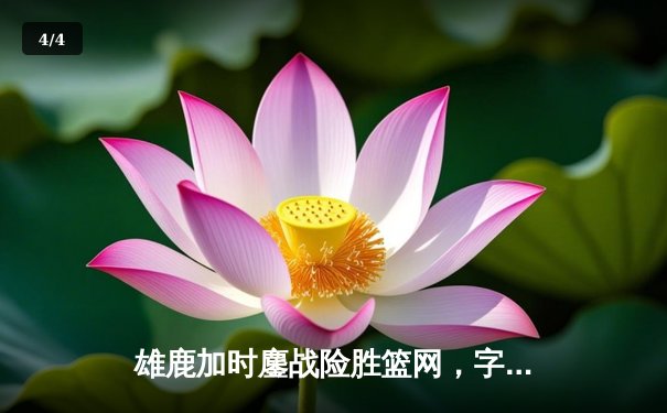 雄鹿加时鏖战险胜篮网，字母哥36+12率队捍卫主场 - 4